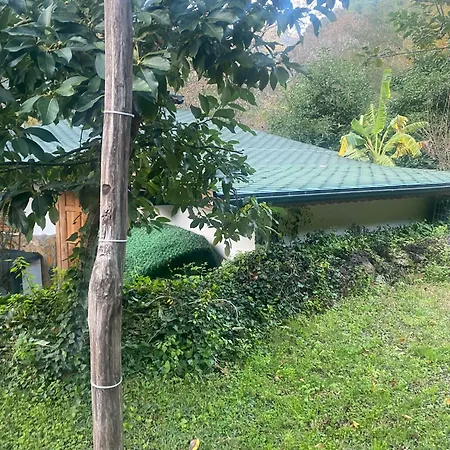 אתר קמפינג Bungalow