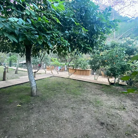 Campingplads Bungalow *