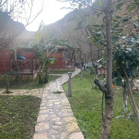 Bungalow Campingplads *
